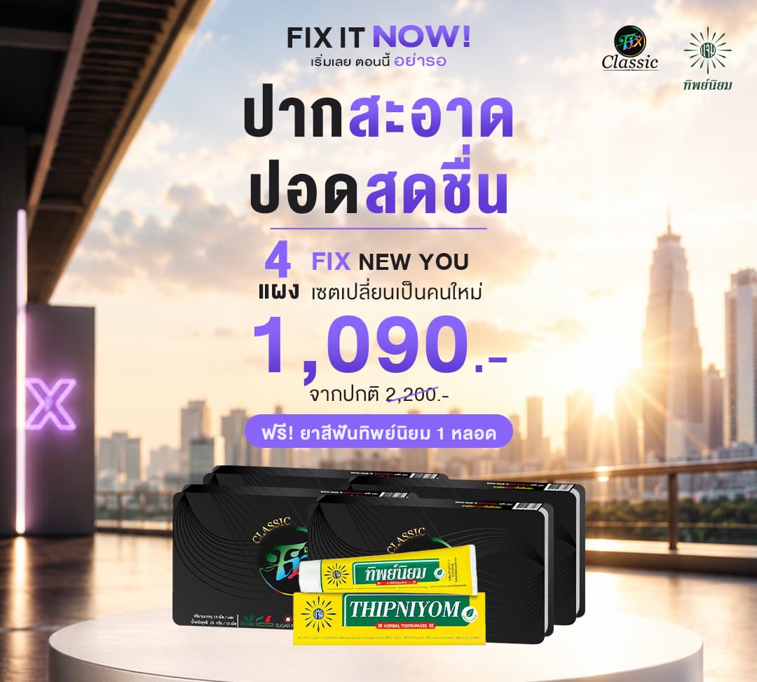 Fix Pro 4 แผง