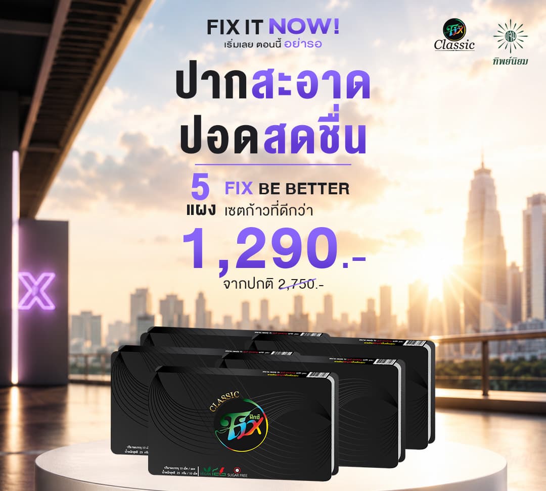 Fix Pro 5 แผง
