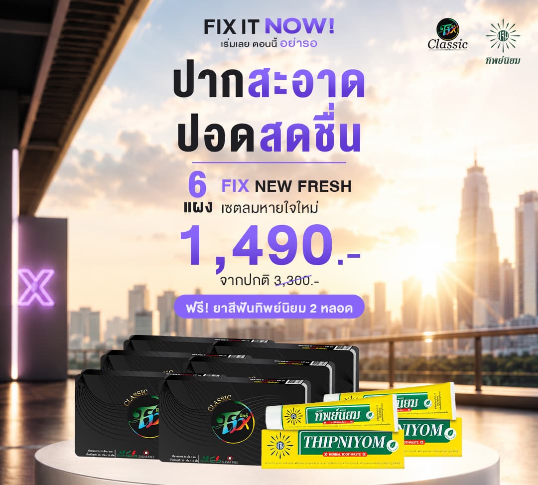 Fix Pro 6 แผง