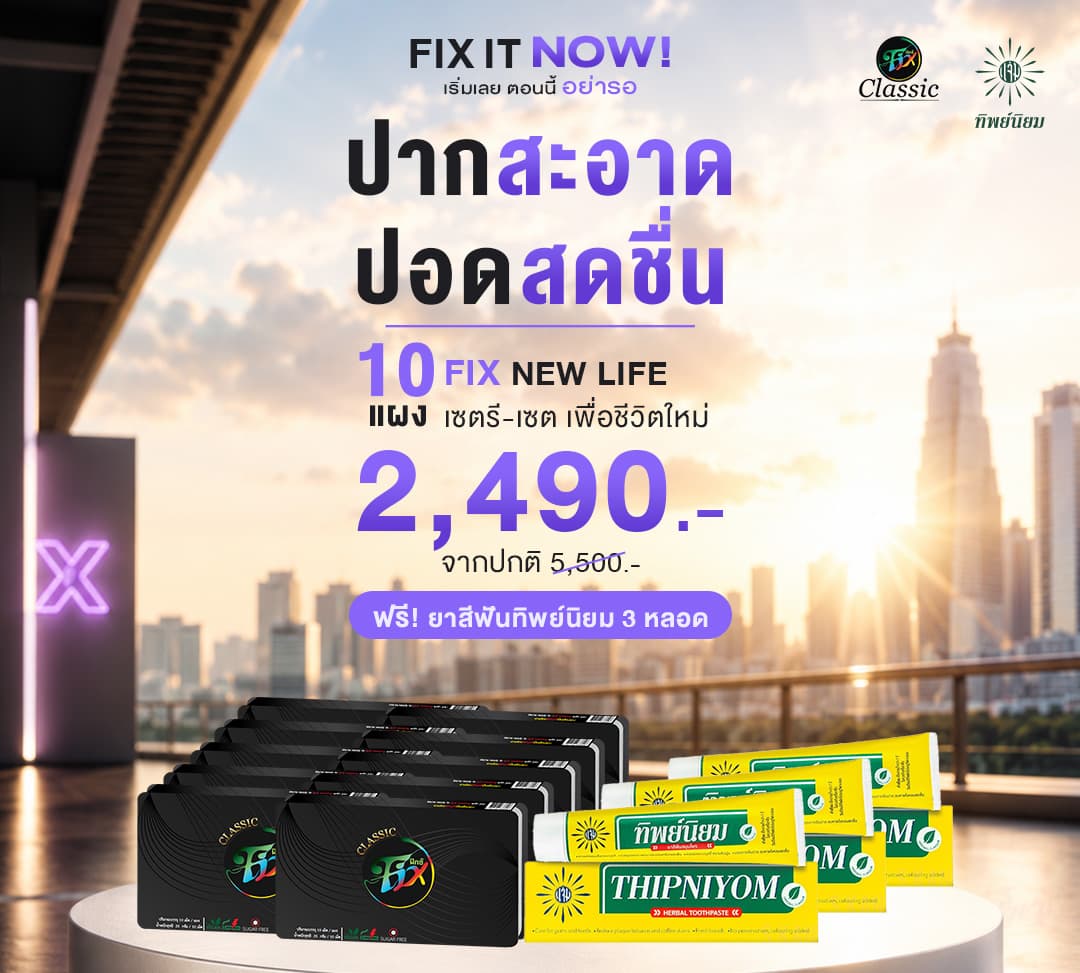 Fix Pro 10 แผง